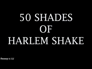 50 shades of harlem shake