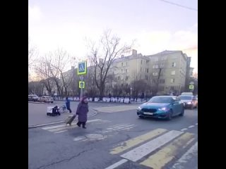 grandma moved the courier robot across the road